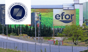efor-yatirim-haberleri